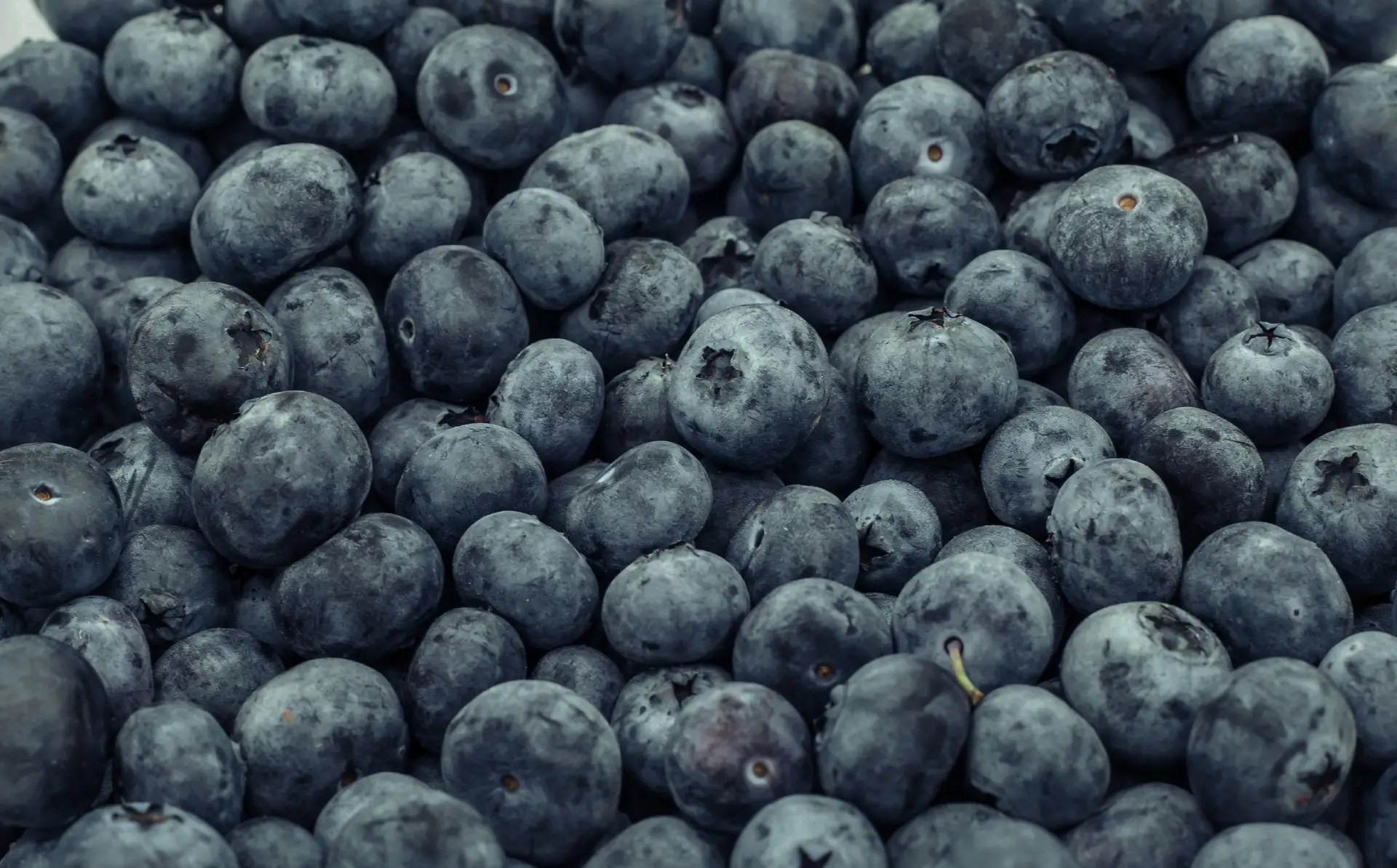 Frozen Fruits